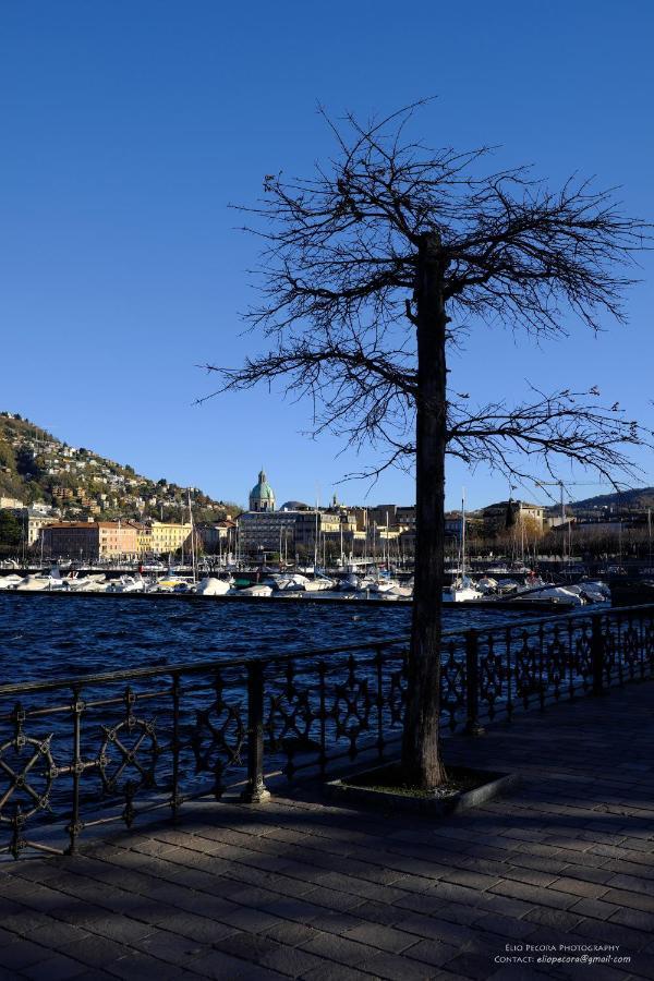 Appartamenti Monti Como Lake ブルナーテ エクステリア 写真