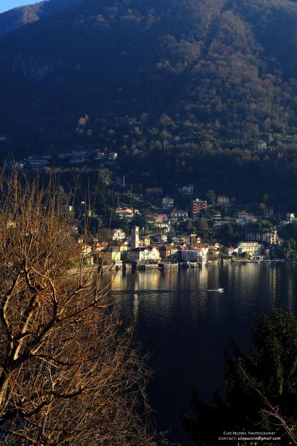Appartamenti Monti Como Lake ブルナーテ エクステリア 写真