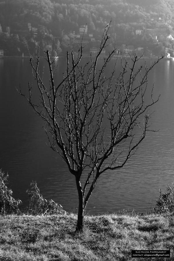 Appartamenti Monti Como Lake ブルナーテ エクステリア 写真